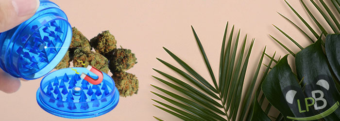 mini broyeur cannabis cbd